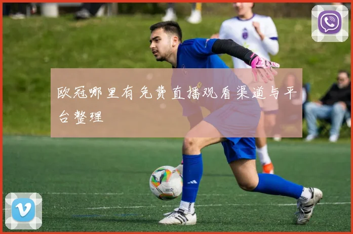 欧冠哪里有免费直播观看渠道与平台整理