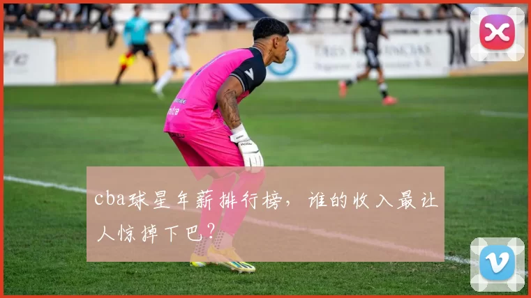 cba球星年薪排行榜，谁的收入最让人惊掉下巴？